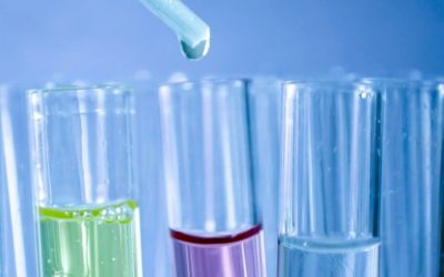 Servicios Complementarios